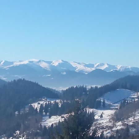 На Березові Krivorovnya Εξωτερικό φωτογραφία